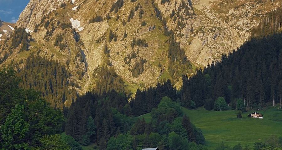 Alpines Holzhaus vor Bergkulisse